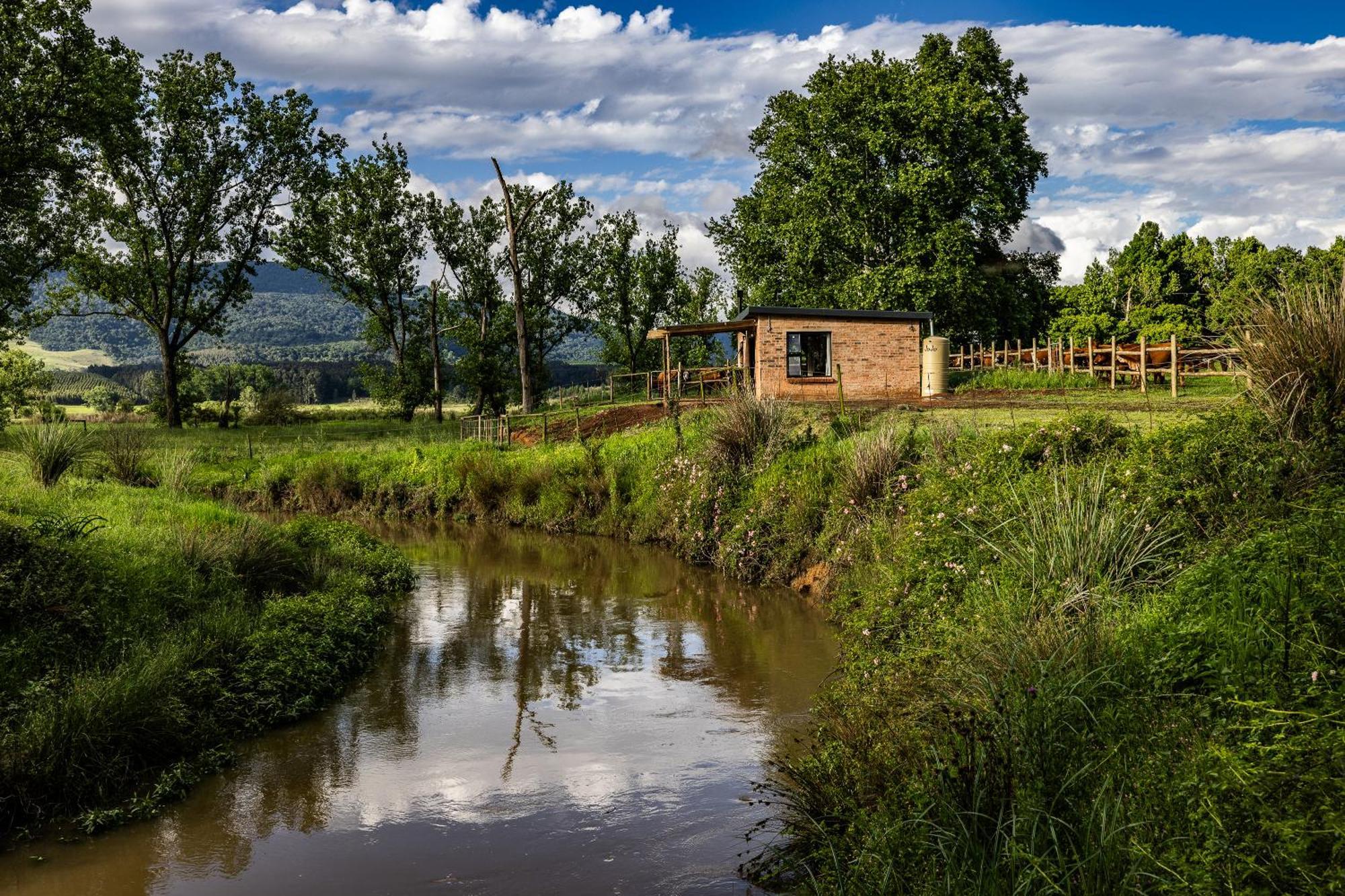 Hotel Gartmore Guest Farm Howick Exterior foto