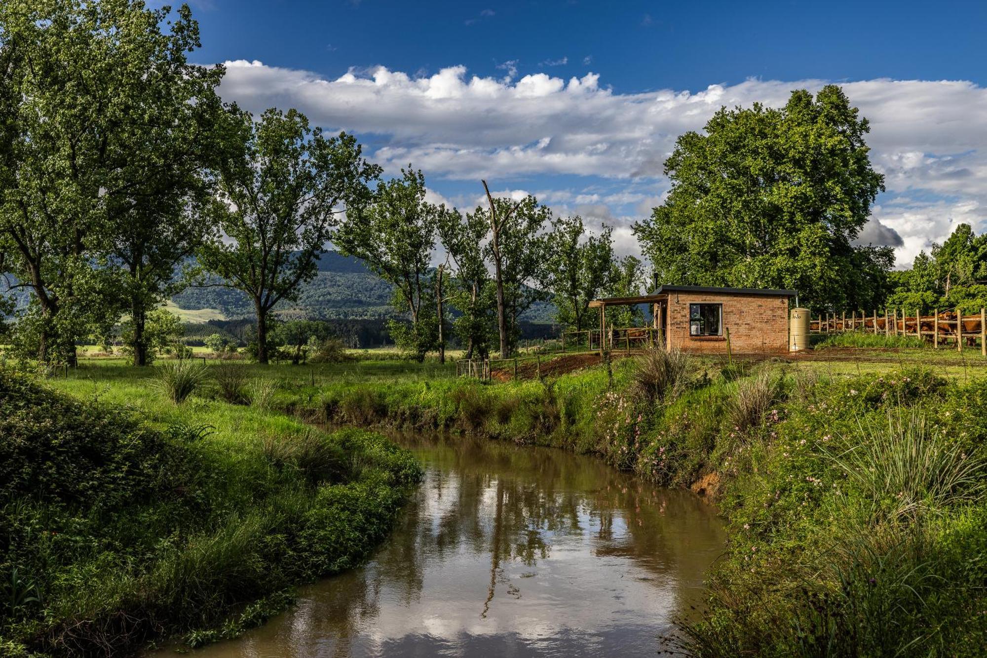 Hotel Gartmore Guest Farm Howick Exterior foto